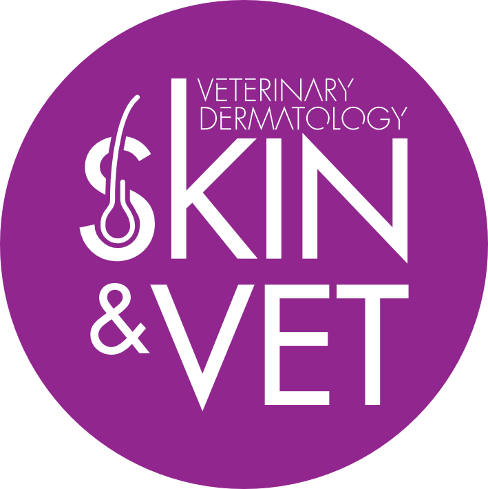logo website
